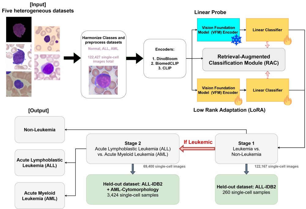 Retrieval-Augmented Vision Foundation Models for Robust Leukemia Cell Classification across Multiple Microscopy Datasets Figure 1