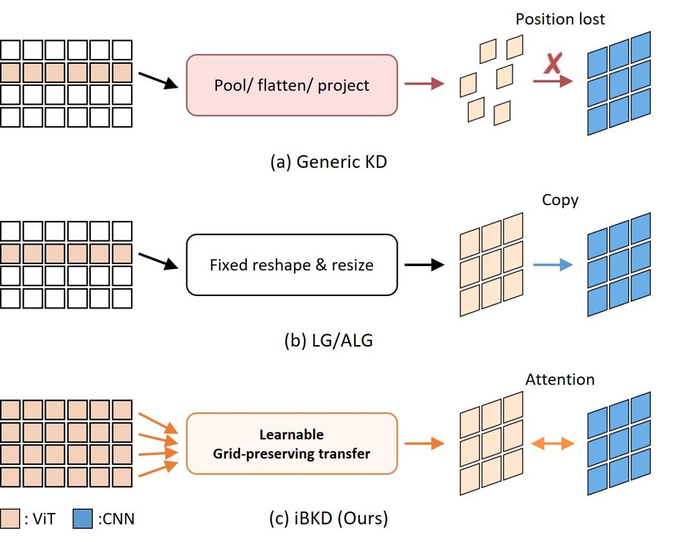 Grid-Preserving Knowledge Distillation: Transferring Convolutional Inductive Bias to Vision Transformers under Data Scarcity Figure 1