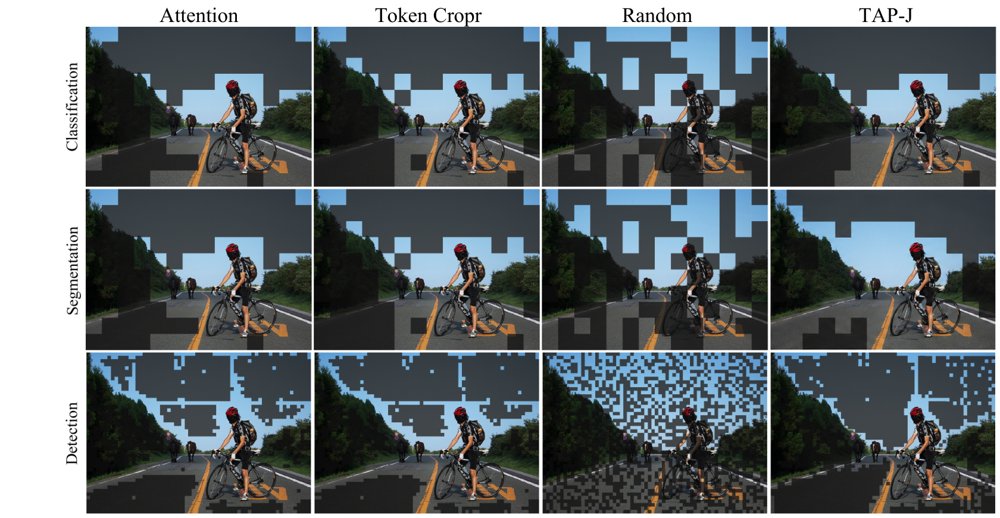 Putting Registers to Work: Task Registers for Token Pruning in Vision Transformers Figure 1