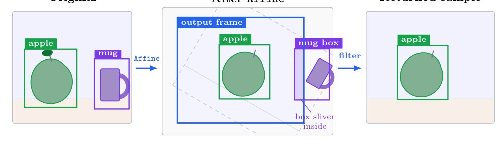 AlbumentationsX: One Augmentation Pipeline for Images and Related Annotations Figure 1