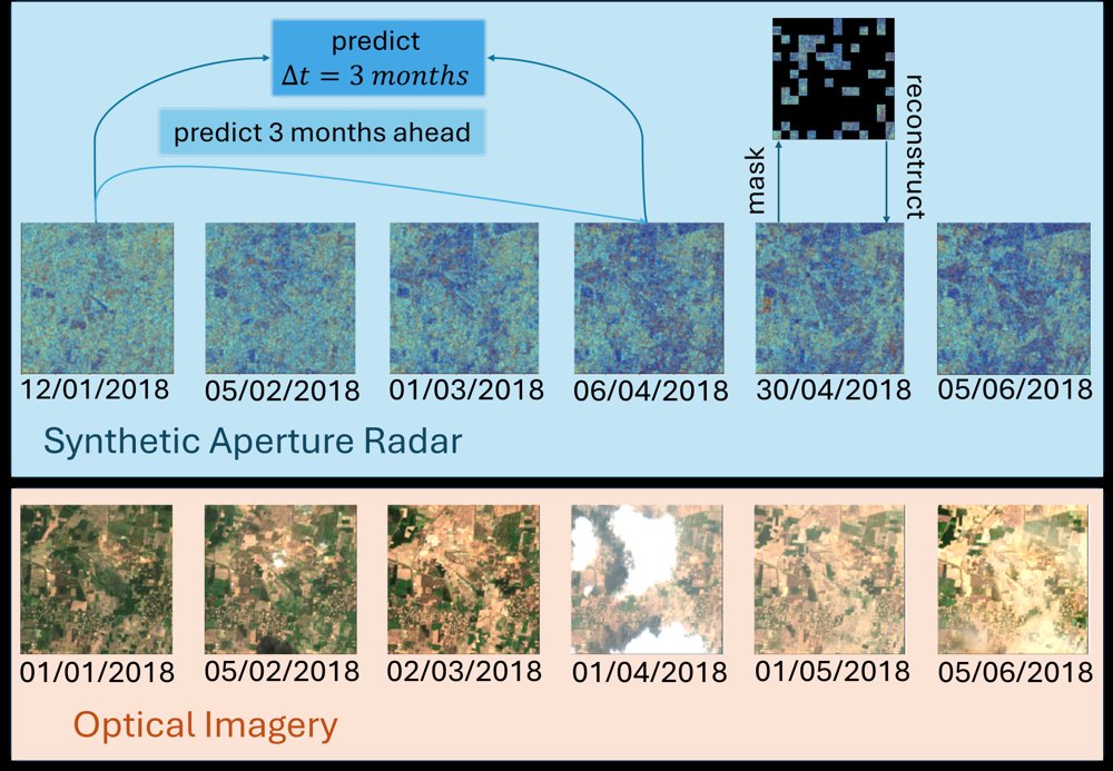 SAR2Agri: Learning SAR Intensity Representations for Agricultural Monitoring Figure 1