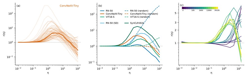 Beyond Local Linearity: Scale-Resolved Geometry of Learned Image Encoders Figure 1