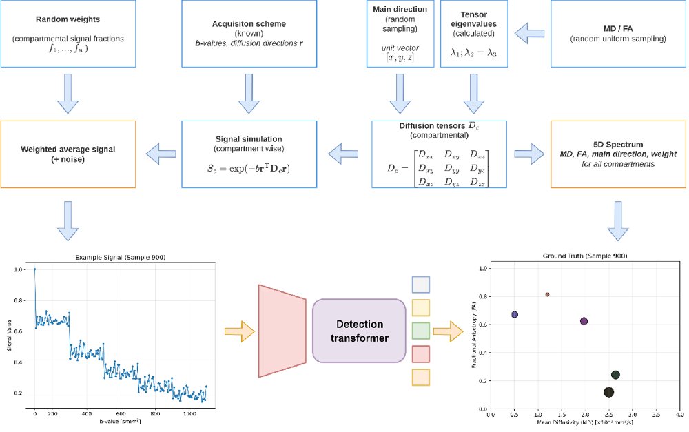 Fiber-Resolved Microstructure Quantification from Multi-Shell Diffusion MRI using Detection Transformers Figure 1