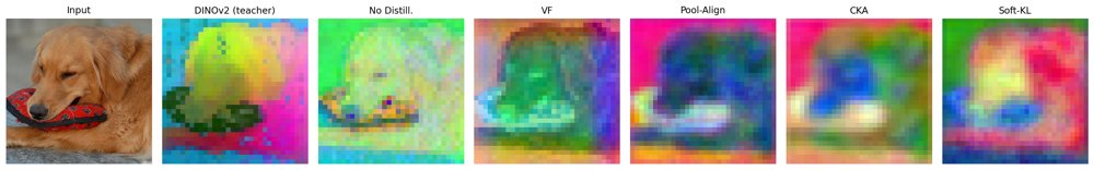 Diffusable Latents from Structure-Agnostic Distillation Figure 1