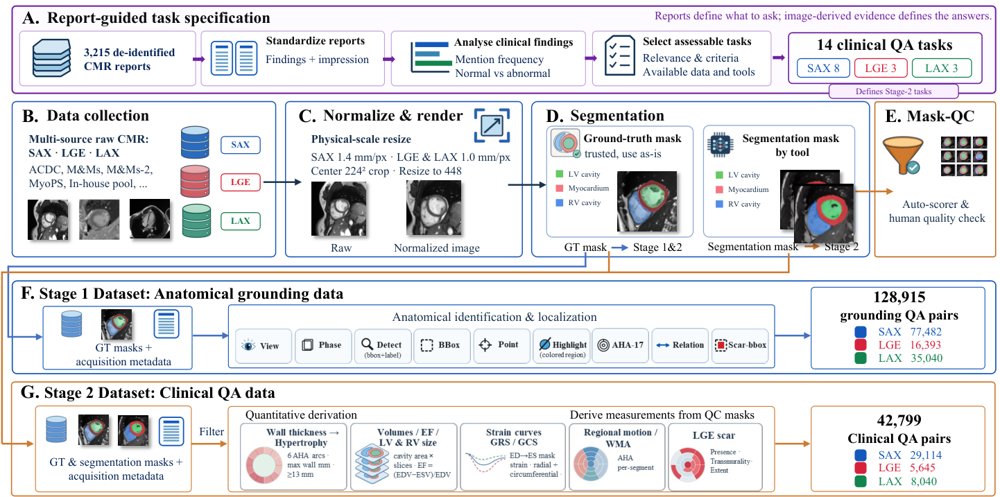Learning Where to Look: Anatomical Grounding and Guided Attention for Cardiac MRI Vision-Language Models Figure 1