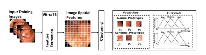 From Image Latent Space to Fuzzy Rules: Interpretable Analysis of Gastrointestinal Foundation Model Figure 1