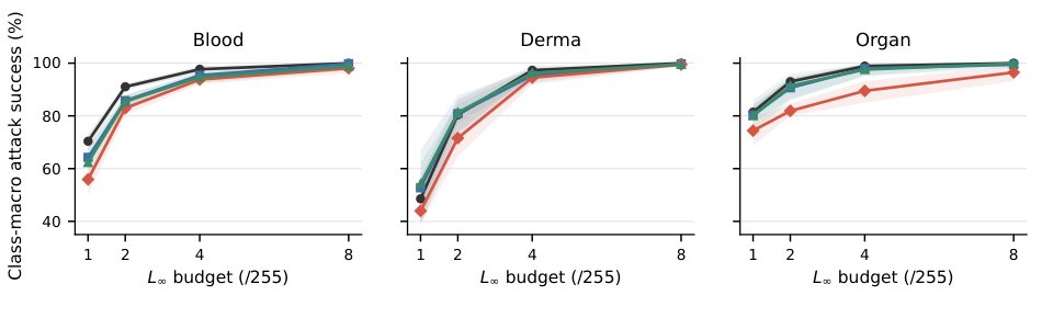Curvature Under Attack in hZACH-ViT: Gauge Symmetry, Boundary Saturation, and Adversarial Failure Figure 1