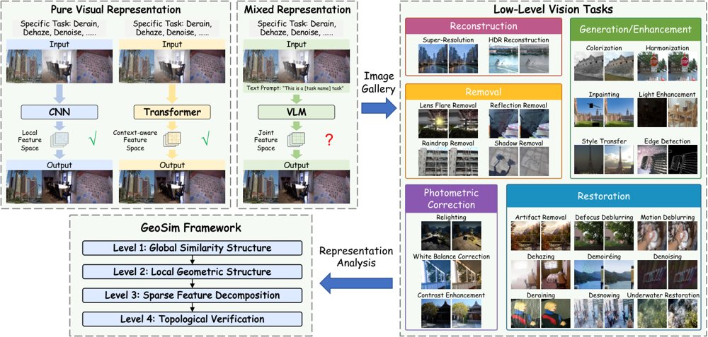 Geometric Similarity in VLM Low-Level Vision Representations Figure 1