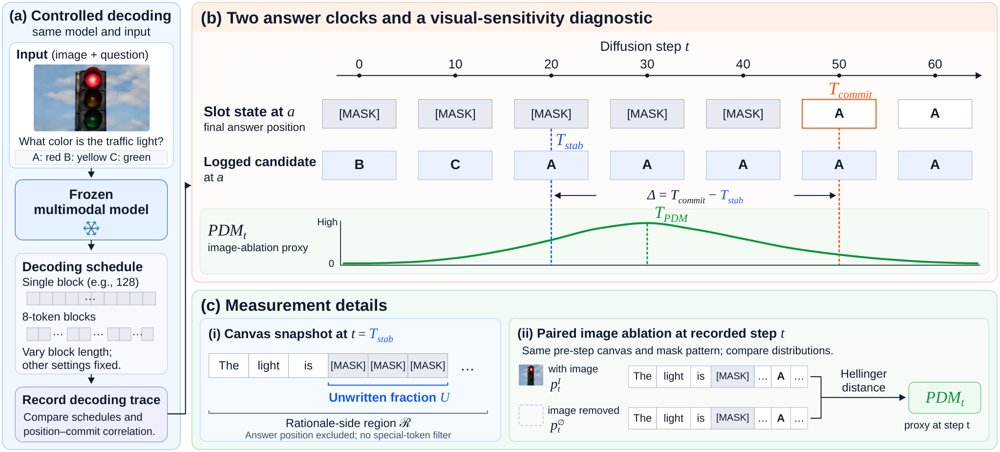 Two Clocks in Diffusion MLLMs: When Answers Stabilize Before Rationales Unfold Figure 1