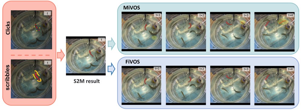 FiVOS: A Fish Segmentation Algorithm Based on Interactive Video Object Segmentation and Filter Enhancement Figure 1