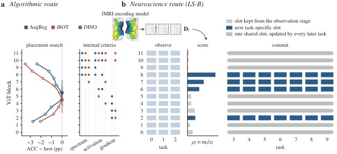 Two Routes to the Middle: Placement Search and Brain Readouts Converge on Where Continual Learners Should Specialize Figure 1