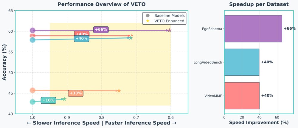 VETO: Video Efficient Token Optimization for Vision Language Models Figure 1