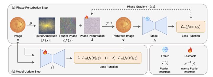 PhaseAT: Fourier Phase Adversarial Training for Medical Image Domain Generalization Figure 1