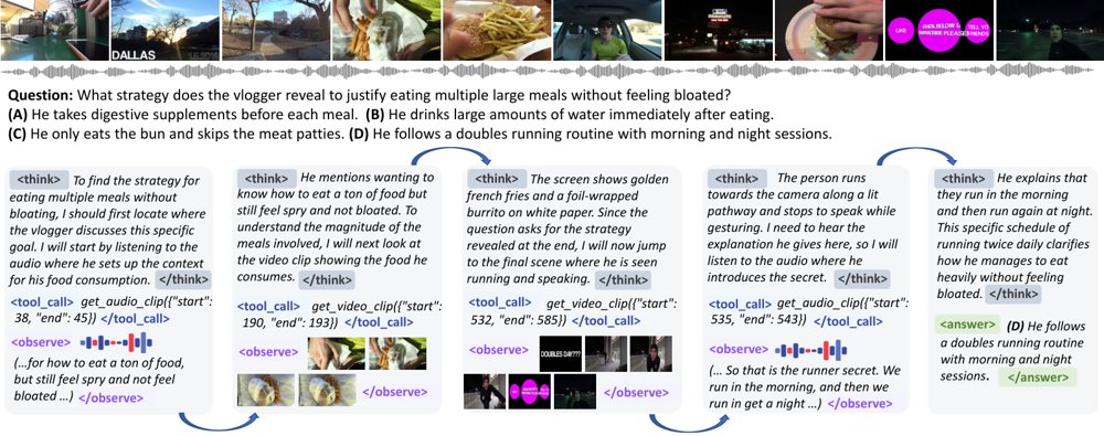 OmniSeek: Native Tool Integration for Multi-turn Audio-Visual Reasoning Figure 1