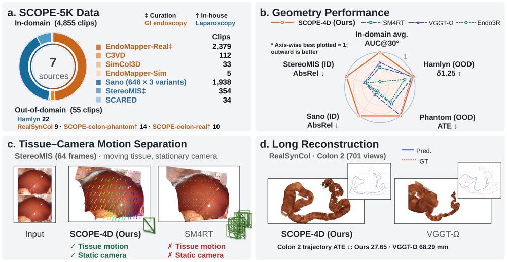 SCOPE-4D: Endoscopic 4D Geometry Foundation Models Figure 1