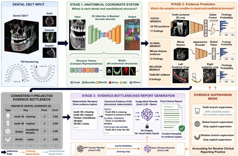 EviDent-CBCT: Evidence-Bottlenecked Report Generation from Dental CBCT under Non-Exhaustive Report Supervision Figure 1