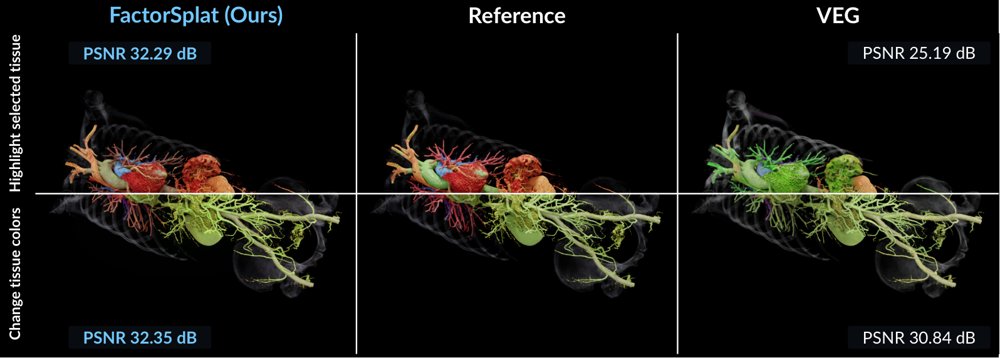 FactorSplat: Appearance-Controllable Gaussian Proxies for Medical Volume Rendering Figure 1