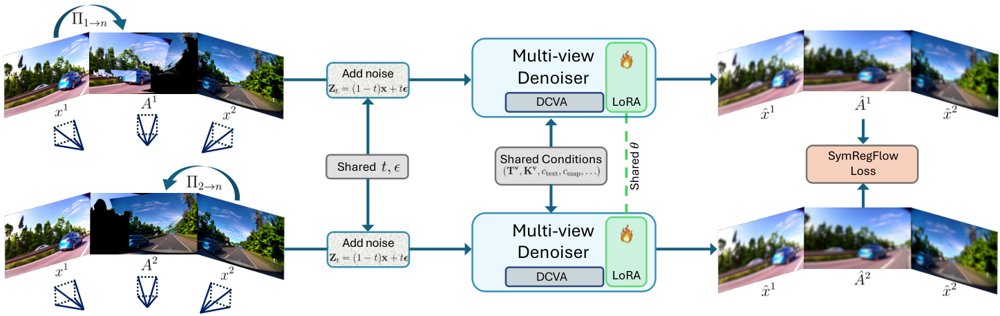 SymRegFlow: Symmetry-Regularized Flow Matching for Video World Models Figure 1