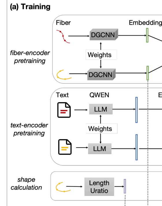 FiberGeoText: A Vision-Language Model for Population- Level Organization of Superficial White Matter Figure 1