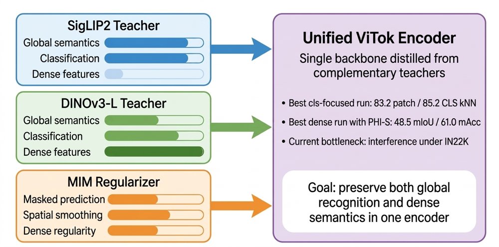 ViTok: Improving Dense Semantics in AM-RADIO-Style Multi-Teacher Distillation with PHI-S and Masked Image Modelling Figure 1