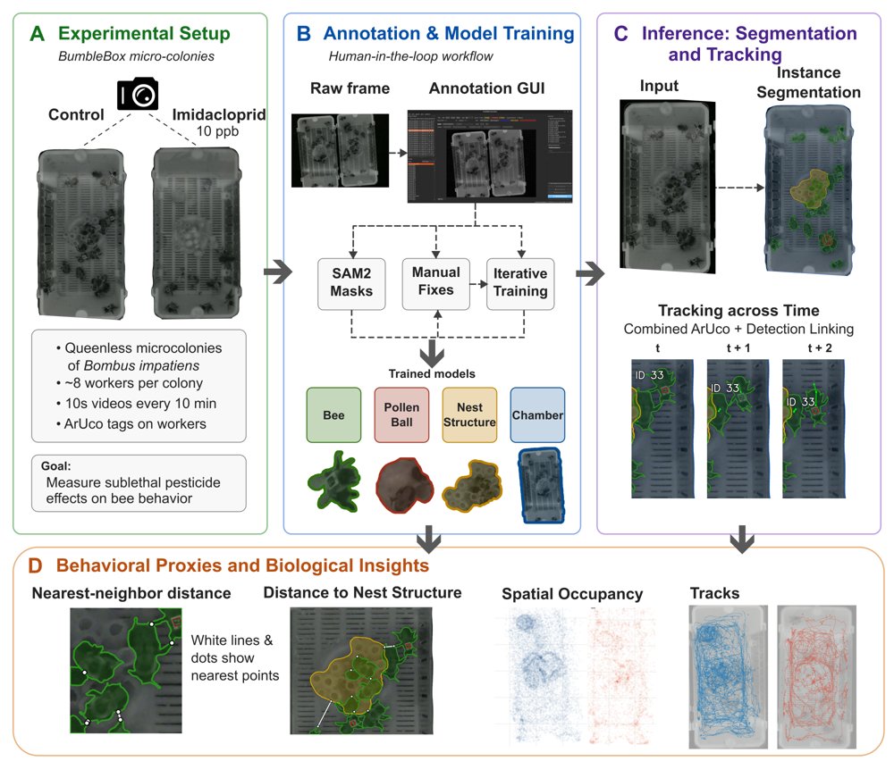 BeeWhere: Segmenting Bumble Bee Colonies to Quantify Behavioral Effects Figure 1
