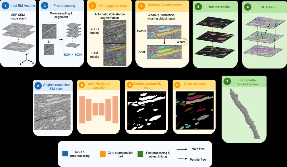 A Fully Automatic Pipeline for 3D Dendrite Instance Segmentation in SBF-SEM Figure 1