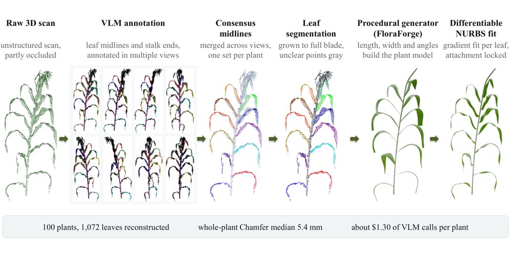 A Vision-Language Model (VLM)-based Pipeline for End-to-End Procedural Modeling of Field-Grown Maize from Point Clouds Figure 1