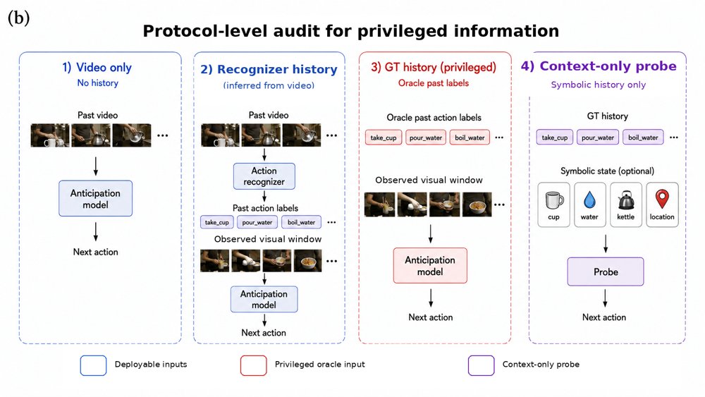 Are We Measuring Anticipation? Auditing Privileged Information in Procedural Video Evaluation Figure 1