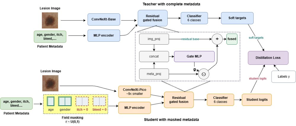 Masked Privileged-Information Distillation for Multimodal Skin Lesion Classification Under Missing Clinical Metadata Figure 1