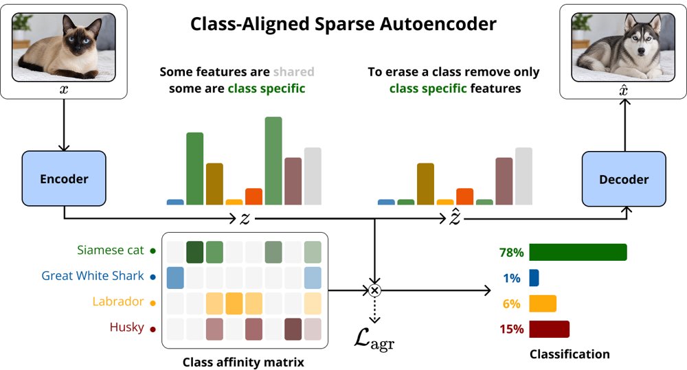 ClasSAE: Class-Aligned Sparse Autoencoders via Differentiable Feature-Class Affinity Figure 1