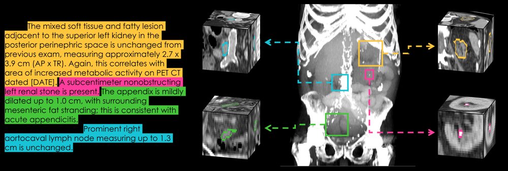 Scaling 3D Visual Grounding in Abdominal CT Figure 1