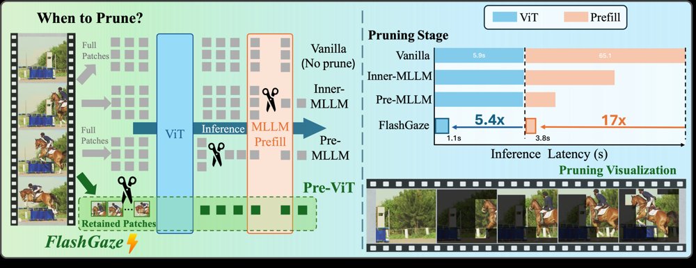 FlashGaze: Training-Free Multi-Scale Patch Pruning For Efficient Video Understanding Figure 1