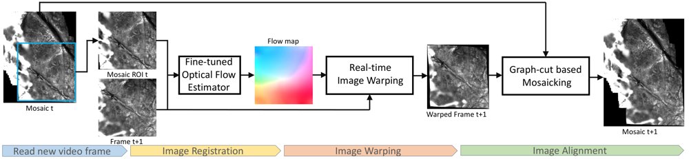 FloVMos: Optical Flow-based Medical Video Mosaicking Figure 1