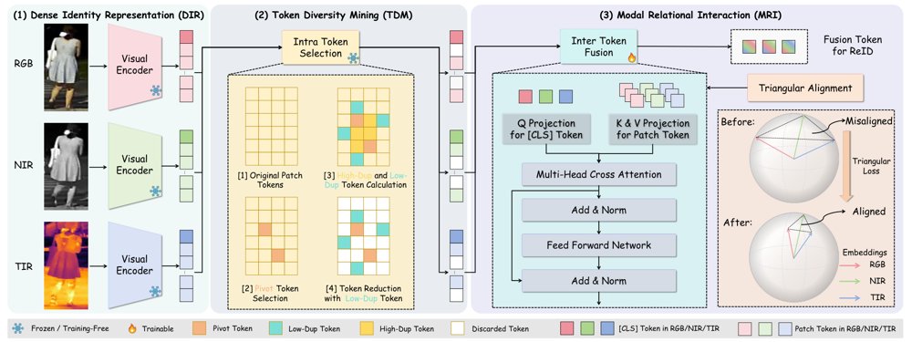 TRIM-ReID: Duplication-Aware Token Reduction and Modality-Aligned Interaction for Multi-Modal Object Re-Identification Figure 1