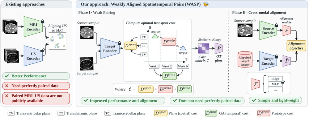 WASP: Weakly Aligned Spatiotemporal Pairs for Fetal Brain MRI-Ultrasound Learning Figure 1