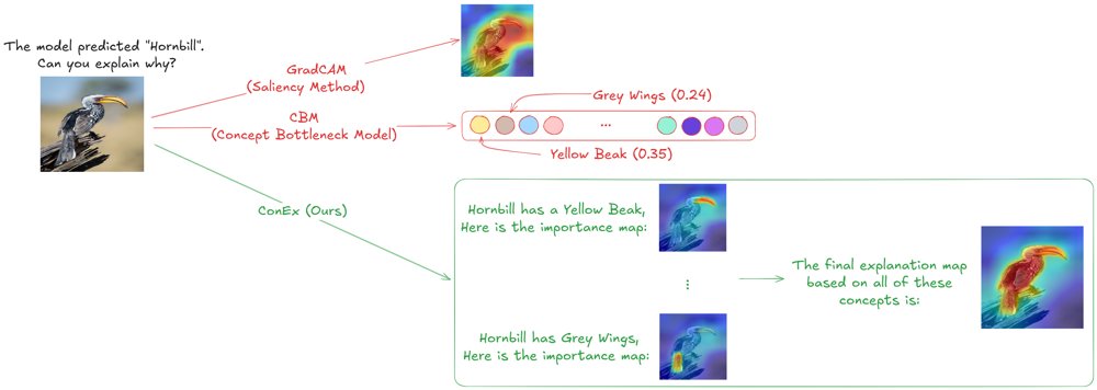ConEx: Human-Interpretable Saliency Maps via Concept-Aware Attribution Figure 1