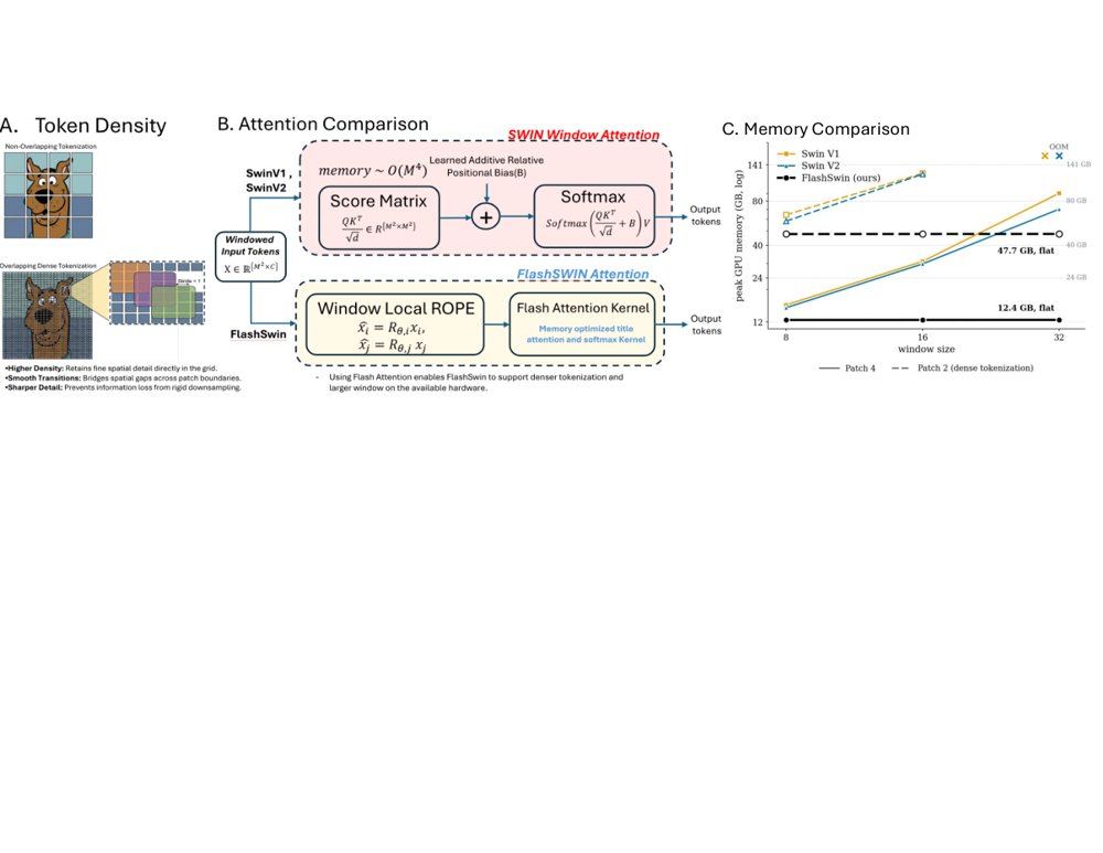 FLASHSWIN: Unlocking Large Windows and Dense Tokens in Swin Vision Transformers with Memory Efficient Attention Figure 1