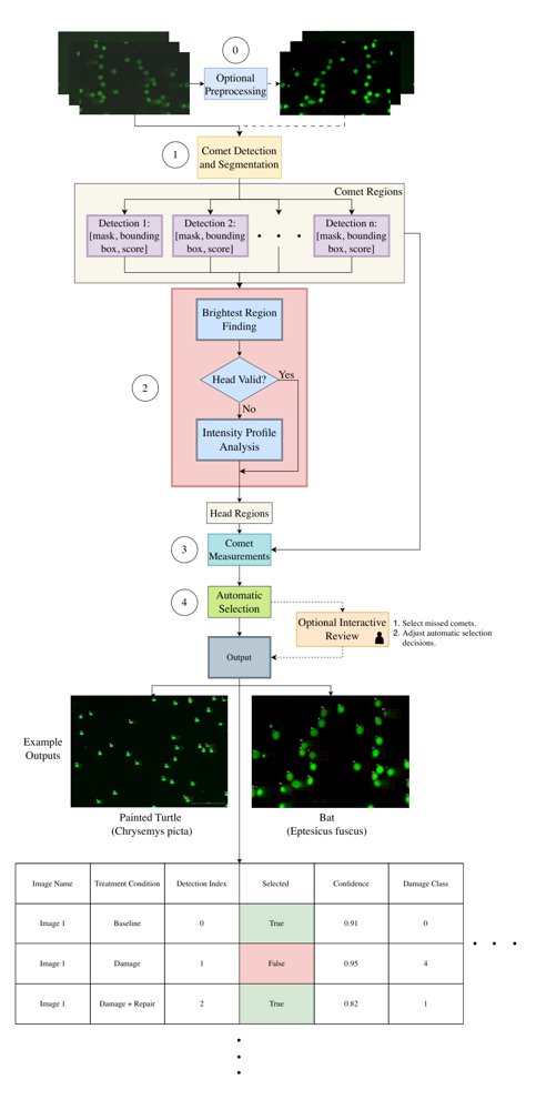 COMPASS: Comet Object Measurement Pipeline with Automated Selection and Scoring Figure 1