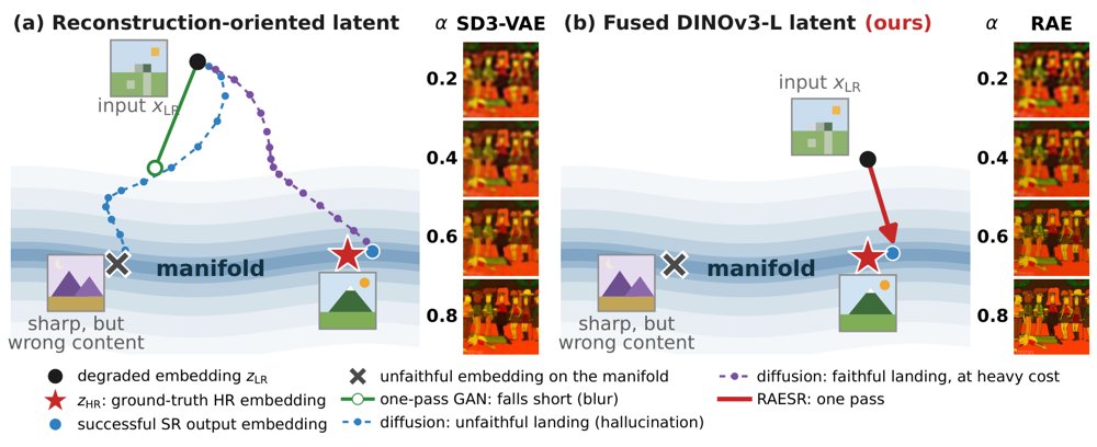 Super-Resolution in The Right Latent Space: A Frozen Vision-Foundation Substrate Figure 1