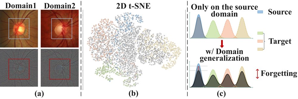 CoDG-Net: Structure-Guided Style Diffusion and Collaborative Learning to Mitigate Catastrophic Forgetting in Medical Image Domain Generalization Figure 1