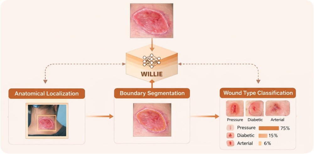 WILLIE: A Unified Framework and Benchmark for Wound Classification, Segmentation, and Localization Figure 1