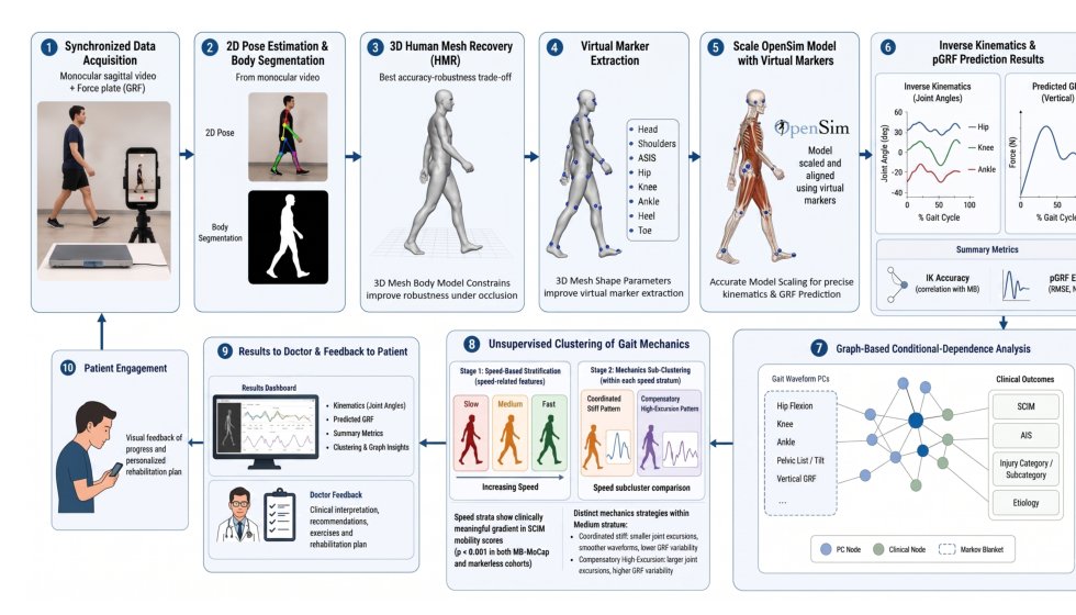 Monocular markerless biomechanics for clinically interpretable gait assessment in spinal cord injury Figure 1