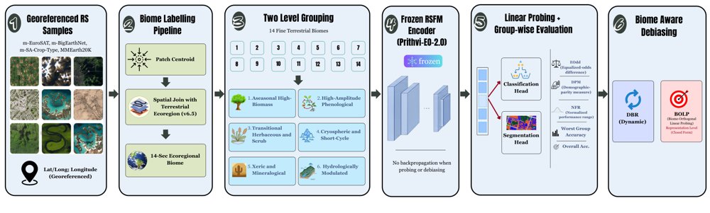 FairRSFM: A Biome-Aware Benchmark and Debiasing Framework for Remote Sensing Foundation Models Figure 1