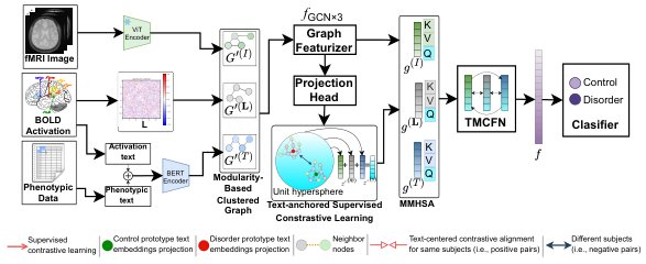fMRI-TAMCL: Text-Anchored Supervised Multimodal Contrastive Learning for fMRI-Based Brain Disorder Classification Figure 1