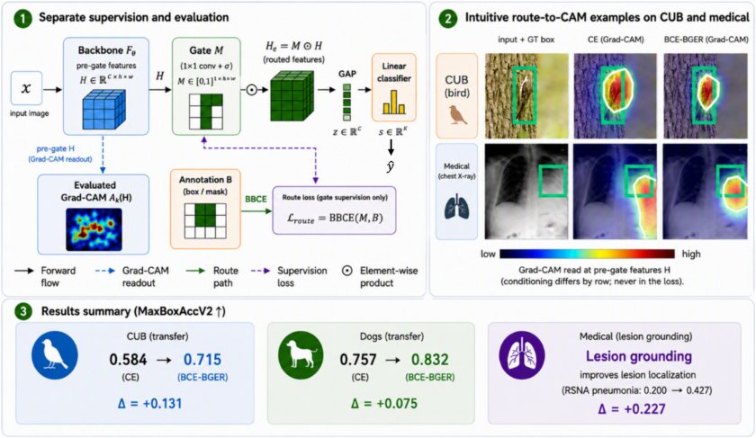 Spatial Supervision Without Attribution Optimization: Improving Post-Hoc Class Activation Maps via Box-Guided Evidence Routing Figure 1