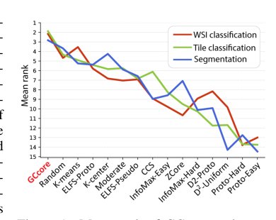 Label-Free Coreset Selection with Foundation Models for Efficient Annotation in Computational Pathology Figure 1