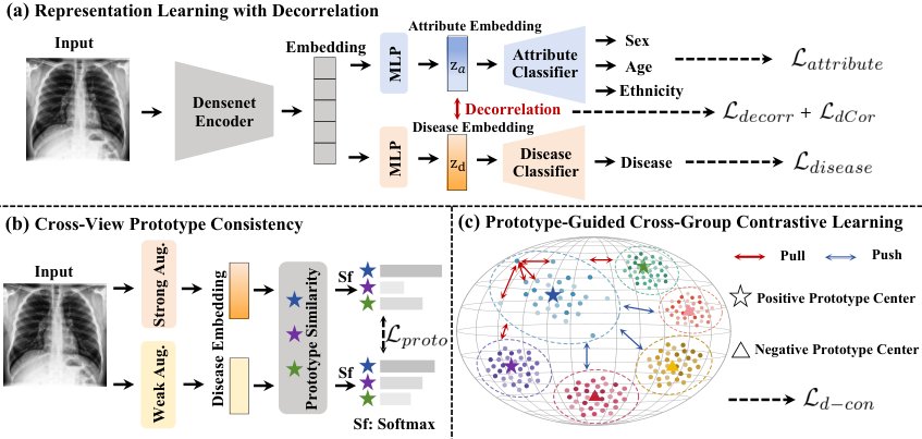 Representation Disentanglement for Fair Chest X-Ray Diagnosis Figure 1