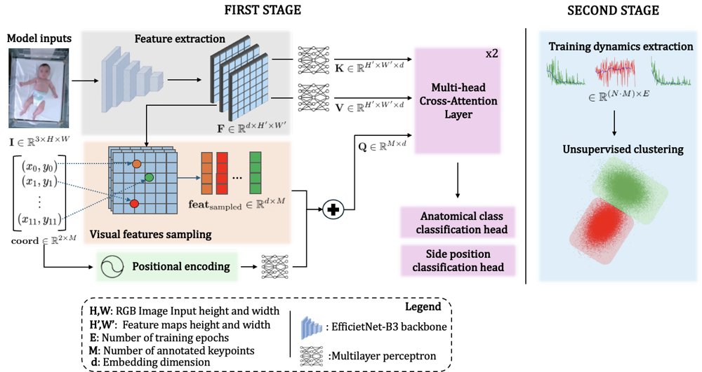 Toward Reliable Infant Pose Estimation: A Training-Dynamics Approach to Noisy Annotation Detection Figure 1