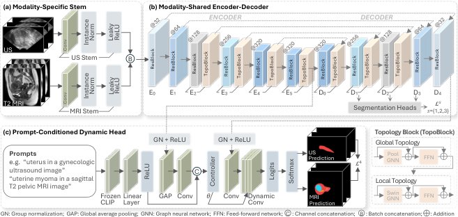 Topology-Informed Prompt-Conditioned Universal Segmentation of Uterine Structures from Ultrasound and MRI Figure 1