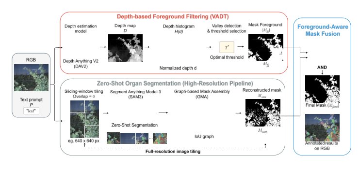 FrontVeg V2: A Training-Free Software Framework for Foreground-Aware Zero-Shot Plant Trait Segmentation in High-Resolution Images of Trellised Crops Figure 1